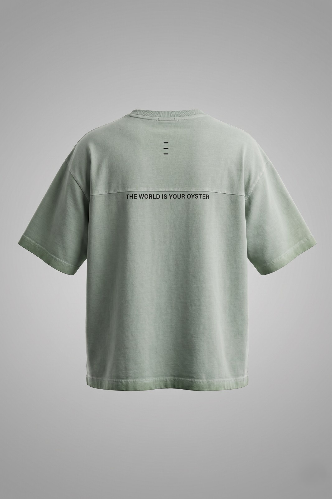 Oversized sage green unisex t-shirt with The World Is Your Oyster motivational back print streetwear back view